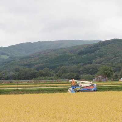 【令和7年産】北海道壮瞥町産　清水農園のななつぼし 5kg SBTO015