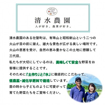 【令和7年産】北海道壮瞥町産　清水農園のななつぼし 5kg SBTO015