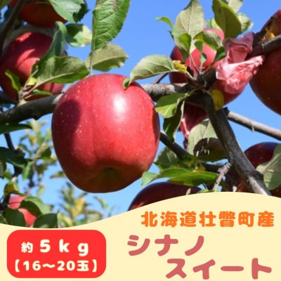 【先行予約】ファームアグリエイトのりんご「シナノスイート」 約5kg(16～20玉)SBTB013