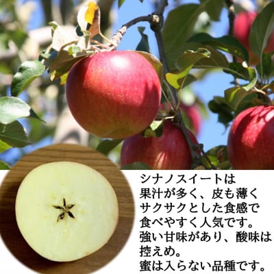 ファームアグリエイトのりんご「シナノスイート」 約5kg(16～20玉)SBTB013