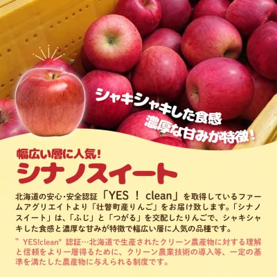 【先行予約】ファームアグリエイトのりんご「シナノスイート」 約5kg(16～20玉)SBTB013