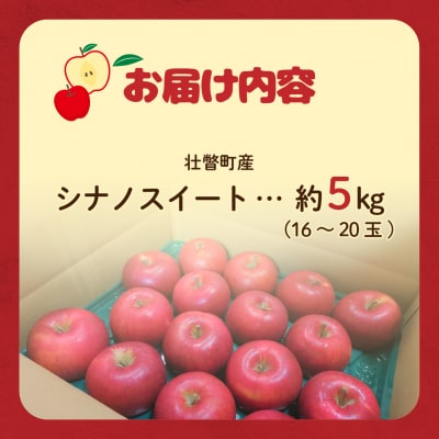 【先行予約】ファームアグリエイトのりんご「シナノスイート」 約5kg(16～20玉)SBTB013