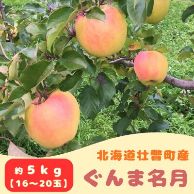 【先行予約】ファームアグリエイトのりんご「ぐんま名月」 約5kg(16～20玉)SBTB014