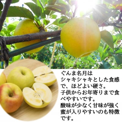 ファームアグリエイトのりんご「ぐんま名月」 約5kg(16～20玉)SBTB014