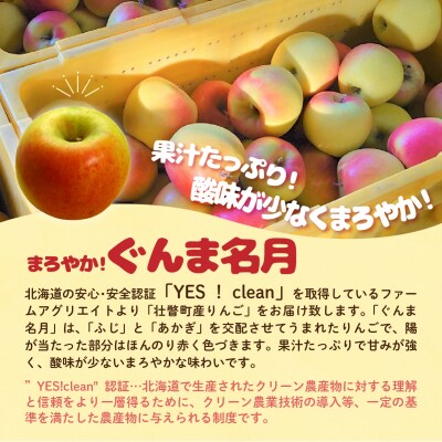 【先行予約】ファームアグリエイトのりんご「ぐんま名月」 約5kg(16～20玉)SBTB014