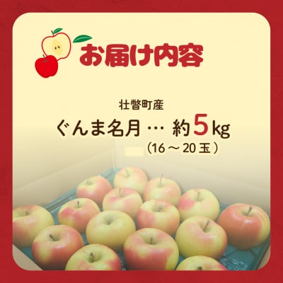 ファームアグリエイトのりんご「ぐんま名月」 約5kg(16～20玉)SBTB014