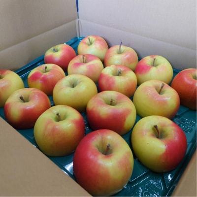 ファームアグリエイトのりんご「ぐんま名月」 約5kg(16～20玉)SBTB014