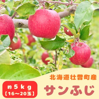 ファームアグリエイトのりんご「サンふじ」 約5kg(16～20玉)SBTB015