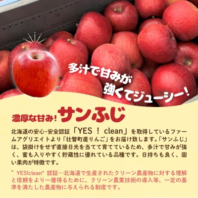 ファームアグリエイトのりんご「サンふじ」 約5kg(16～20玉)SBTB015