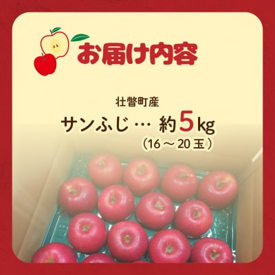 ファームアグリエイトのりんご「サンふじ」 約5kg(16～20玉)SBTB015