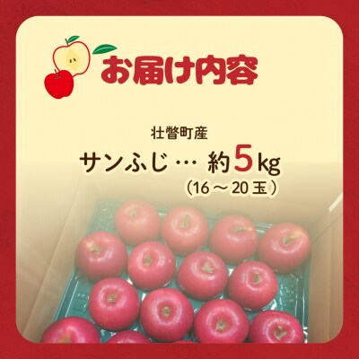 【先行予約】ファームアグリエイトのりんご「サンふじ」 約5kg(16～20玉)SBTB015