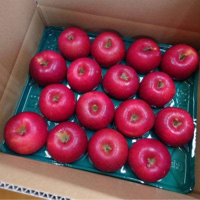 ファームアグリエイトのりんご「サンふじ」 約5kg(16～20玉)SBTB015