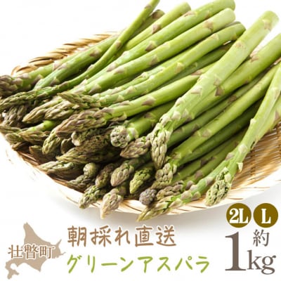 <2026年5月中・下旬よりお届け>グリーンアスパラ約1kg (2L・L混合)SBTM008