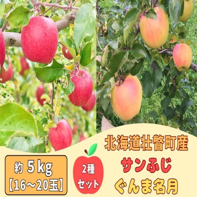 ファームアグリエイトのりんご食べ比べ ぐんま名月サンふじ 計約5kg(16～20玉)SBTB016