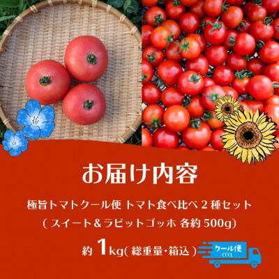 【先行予約】極旨トマトクール便 食べ比べ2種 スイート&ラビットゴッホ 1kg SBTAJ026