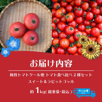 【先行予約】極旨トマトクール便 食べ比べ2種 スイート&ラビットゴッホ 1kg SBTAJ026