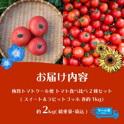 【先行予約】極旨トマトクール便 食べ比べ2種 スイート&ラビットゴッホ 2kg SBTAJ028