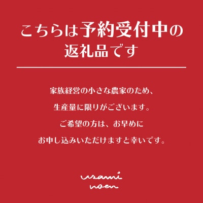 【先行予約】極旨トマトクール便 食べ比べ2種 スイート&ラビットゴッホ 2kg SBTAJ028