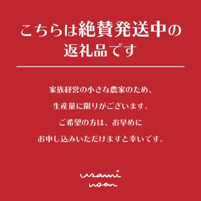 極旨トマトクール便 食べ比べ2種 スイート&ラビットゴッホ 2kg SBTAJ028