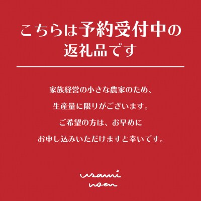 【先行予約】極旨トマトクール便 食べ比べ2種 スイート&ラビットゴッホ 3kg SBTAJ029