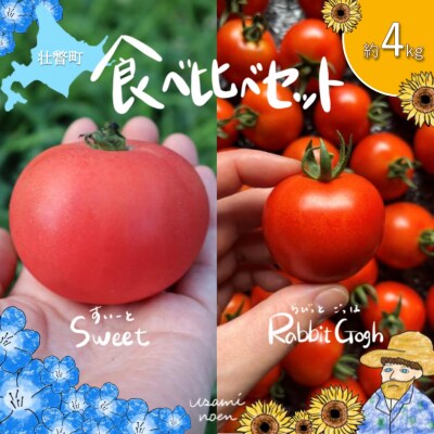 【先行予約】極旨トマトクール便 食べ比べ2種 スイート&ラビットゴッホ 4kg SBTAJ030