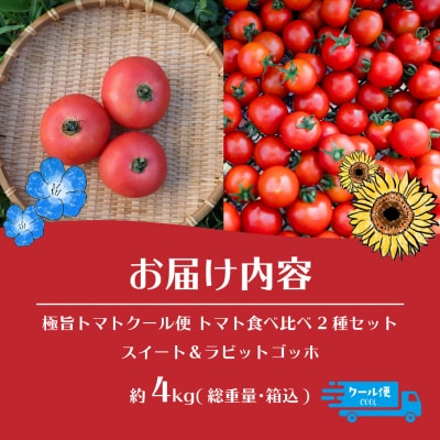 【先行予約】極旨トマトクール便 食べ比べ2種 スイート&ラビットゴッホ 4kg SBTAJ030