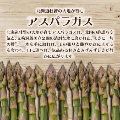 【2026年予約】朝採りグリーンアスパラ(春芽)M-L混合 約1.5kg SBTAJ033