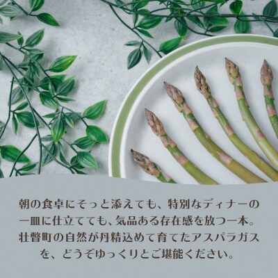 【2026年予約】朝採りグリーンアスパラ(春芽)M-L混合 約2kg SBTAJ034