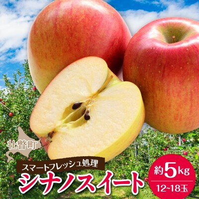北海道壮瞥町りんご(スマートフレッシュ)品種名「シナノスイート」12～18玉約5kg SBTF027