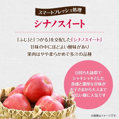 北海道壮瞥町りんご(スマートフレッシュ)品種名「シナノスイート」12～18玉約5kg SBTF027