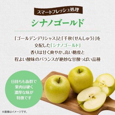 北海道壮瞥町りんご(スマートフレッシュ)品種名「シナノゴールド」8～10玉約3kg SBTF028