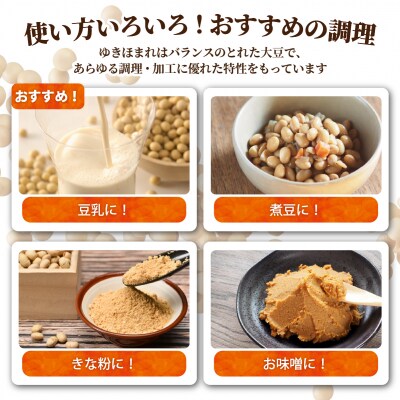 北海道壮瞥町産大豆「ゆきほまれ」1kg SBTQ006