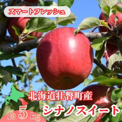 ファームアグリエイトのシナノスイート約5kg(18～20玉)【スマートフレッシュ】SBTB017