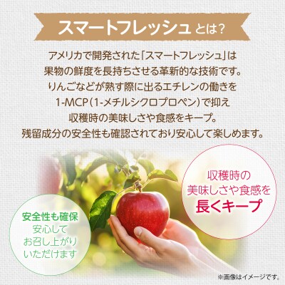 ファームアグリエイトのシナノスイート約5kg(18～20玉)【スマートフレッシュ】SBTB017