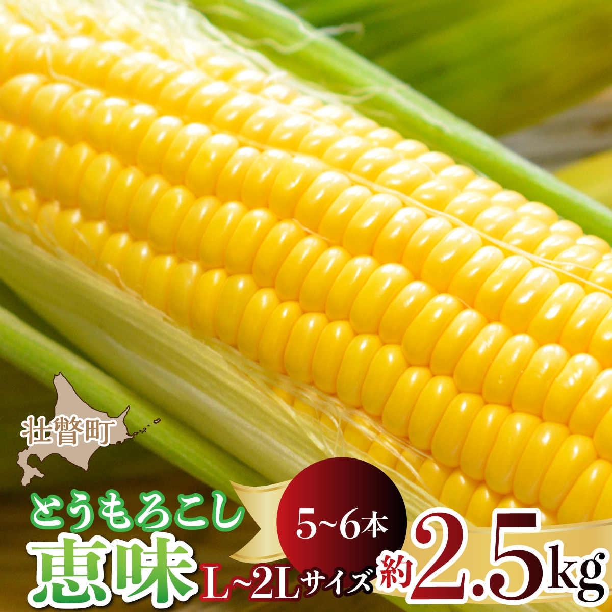 【先行予約】約2.5kg!北海道壮瞥産とうもろこし(恵味)【L～2Lサイズ 5～6本】SBTP014