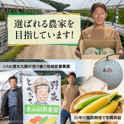 【先行予約】約2.5kg!北海道壮瞥産とうもろこし(恵味)【L～2Lサイズ 5～6本】SBTP014