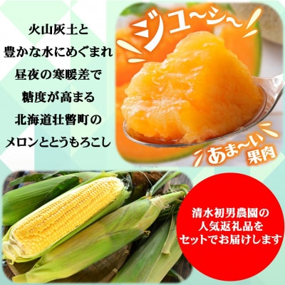【先行予約】北海道壮瞥産　赤肉メロン2玉ととうもろこし(恵味)11～13本のセット SBTP015