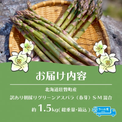 【2026年予約】【訳あり】朝採りグリーンアスパラ(春芽)S-M混合 約1.5kg SBTAJ039