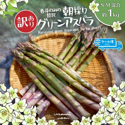 【2026年予約】【訳あり】朝採りグリーンアスパラ(春芽)S-M混合 約1kg SBTAJ038