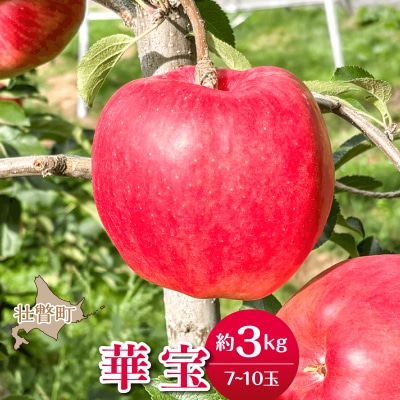 <2026年10月上旬よりお届け>壮瞥町産りんご「華宝」7～10玉約3kg SBTF014