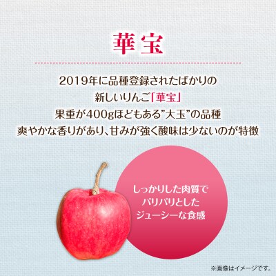 <2026年10月上旬よりお届け>壮瞥町産りんご「華宝」10～16玉約5kg  SBTF015