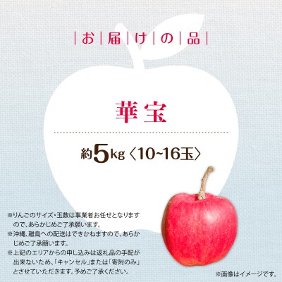 <2026年10月上旬よりお届け>壮瞥町産りんご「華宝」10～16玉約5kg  SBTF015