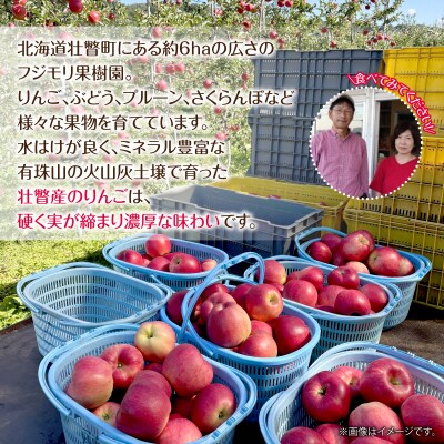 <2026年10月上旬よりお届け>壮瞥町産りんご「華宝」10～16玉約5kg  SBTF015