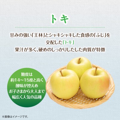 <2026年10月中旬よりお届け>壮瞥町産りんご「トキ」8～10玉約3kg SBTF016