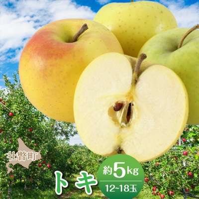 <2026年10月中旬よりお届け>壮瞥町産りんご「トキ」12～18玉約5kg SBTF017