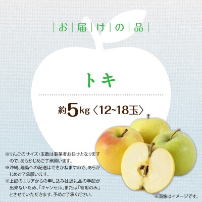 <2026年10月中旬よりお届け>壮瞥町産りんご「トキ」12~18玉約5kg SBTF017
