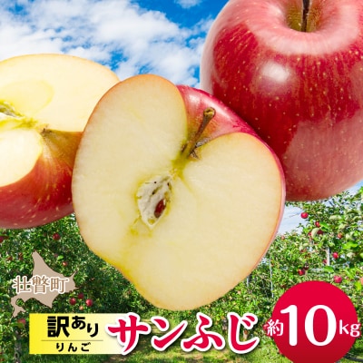 <2026年12月上旬よりお届け>壮瞥町産 訳ありりんご「サンふじ」約10kg SBTF030