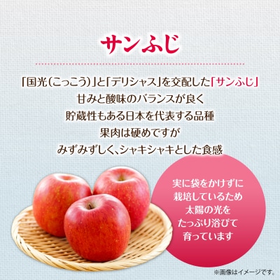 <2026年12月上旬よりお届け>壮瞥町産　訳ありりんご「サンふじ」約10kg SBTF030