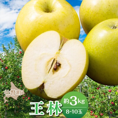 <2026年11月中旬よりお届け>壮瞥町産りんご「王林」8~10玉約3kg SBTF024