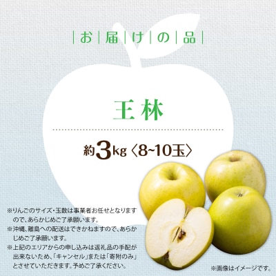 <2026年11月中旬よりお届け>壮瞥町産りんご「王林」8～10玉約3kg SBTF024